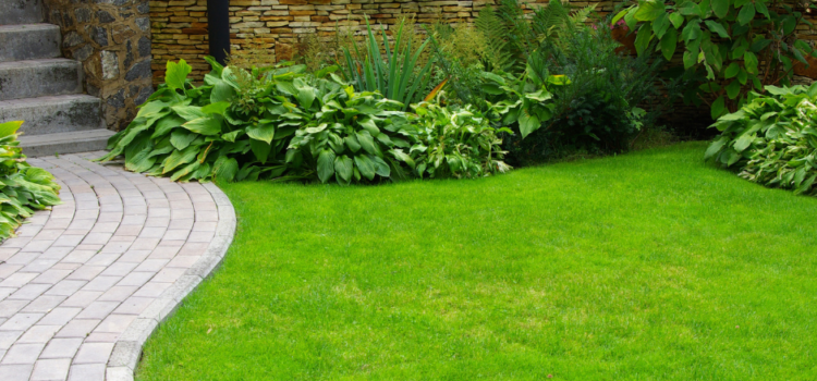 landscaping companies in cardiff